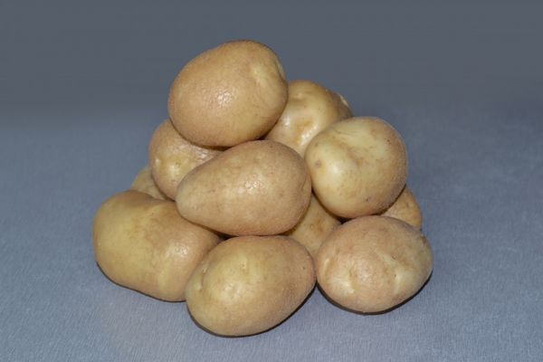  Soiuri de cartofi Luck